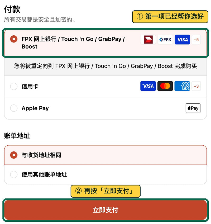 结账页的付款栏：第一项 FPX 网上银行 / Touch 'n Go 已经选好，再按立即支付